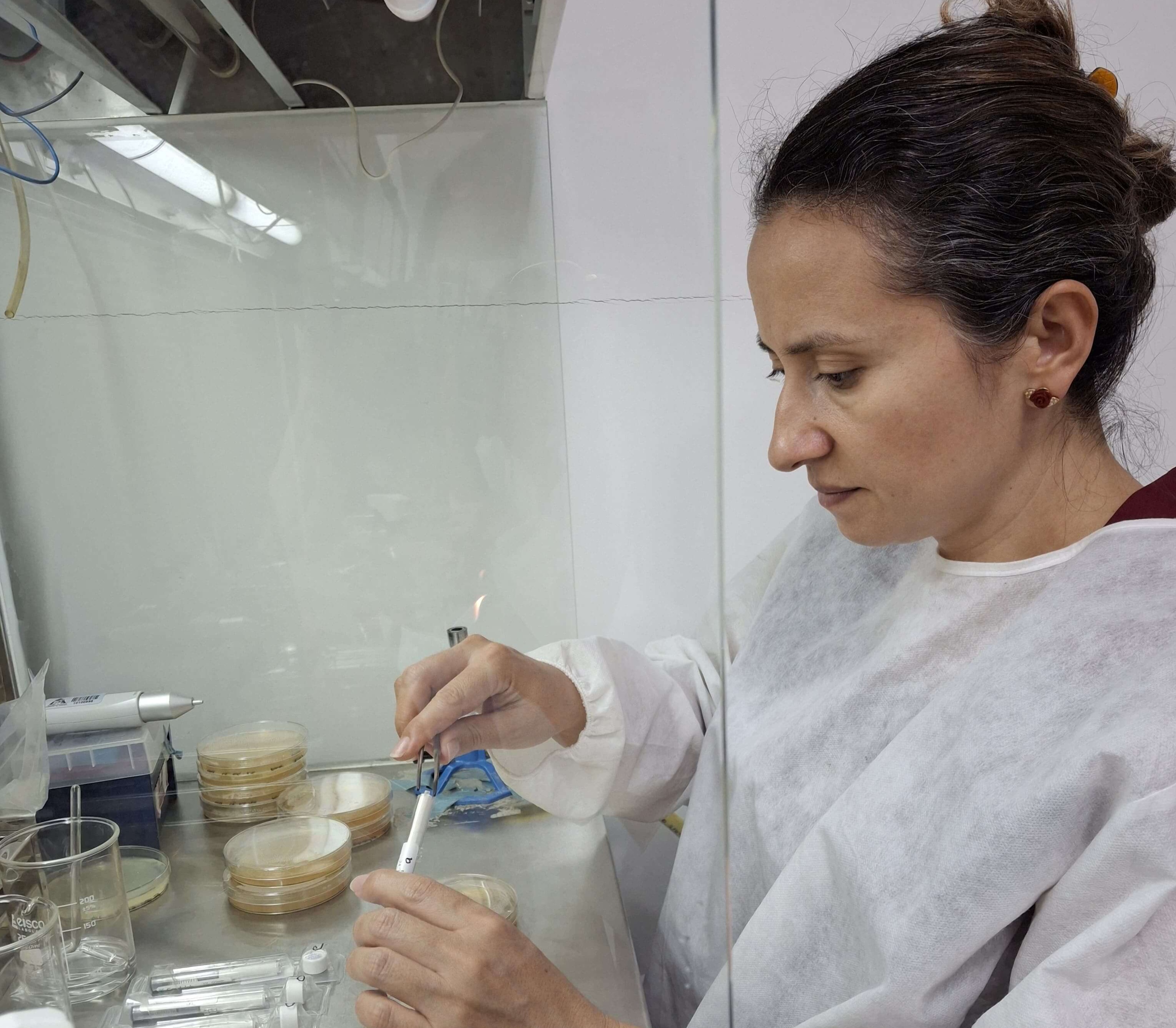 USCO Investiga microorganismos en el café, benéficos para la salud